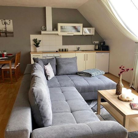 Apartman S Vyhledem Na Jezero リプノ・ナト・ヴルタヴォウ エクステリア 写真
